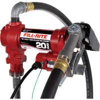 Pompe de transfert de carburant 12 V CC avec pistolet Rock Safety Industrial Ltd
