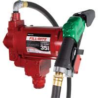 Pompe de transfert de carburant 115/230 V c. a. avec pistolet Rock Safety Industrial Ltd