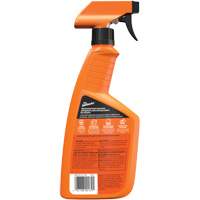Multi-Purpose Auto Cleaner, 16 oz./473 ml, Trigger Bottle Rock Safety Industrial Ltd