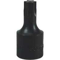 T-50 Torx&reg; Bit Rock Safety Industrial Ltd