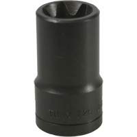 E-20 Torx&reg; Socket Rock Safety Industrial Ltd