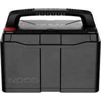 Batterie lithium-ion LiFePO4 &agrave; double usage de groupe 31, 120 Ah Rock Safety Industrial Ltd