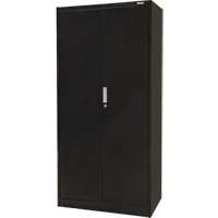 Hi-Boy Storage Cabinet, Steel, 4 Shelves, 72" H x 36" W x 18" D, Black Rock Safety Industrial Ltd
