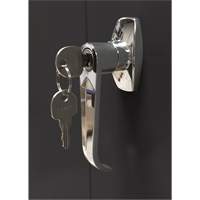 Storage Cabinet, Steel, 4 Shelves, 66" H x 30" W x 15" D, Black Rock Safety Industrial Ltd