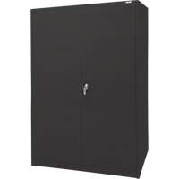 Storage Cabinet, Steel, 4 Shelves, 78" H x 48" W x 24" D, Black Rock Safety Industrial Ltd