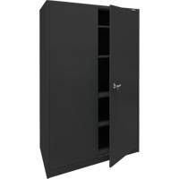 Storage Cabinet, Steel, 4 Shelves, 78" H x 48" W x 24" D, Black Rock Safety Industrial Ltd