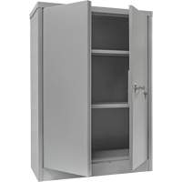 Counter-High Storage Cabinet, Steel, 2 Shelves, 42" H x 48" W x 24" D, Grey Rock Safety Industrial Ltd