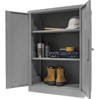 Counter-High Storage Cabinet, Steel, 2 Shelves, 42" H x 48" W x 24" D, Grey Rock Safety Industrial Ltd