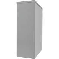 Counter-High Storage Cabinet, Steel, 2 Shelves, 42" H x 48" W x 24" D, Grey Rock Safety Industrial Ltd