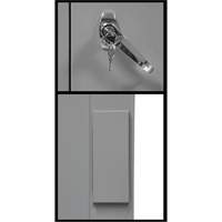 Counter-High Storage Cabinet, Steel, 2 Shelves, 42" H x 48" W x 24" D, Grey Rock Safety Industrial Ltd