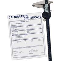 Pied &agrave; coulisse num&eacute;rique avec certificat de traçabilit&eacute;, R&eacute;solution de 0,0005" (0,01 mm), 0" - 12" (0 mm - 300 mm) gamme de mesure Rock Safety Industrial Ltd