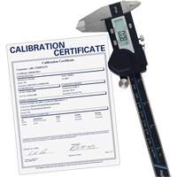 Pied &agrave; coulisse num&eacute;rique de 6" (150 mm) avec certificat de traçabilit&eacute; de l'&eacute;talonnage, R&eacute;solution de 0,0005" (0,01 mm), 0" - 6" (0 mm - 150 mm) gamme de mesure Rock Safety Industrial Ltd