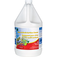 Glass & Multi-Surface Cleaners, 4 L, Jug Rock Safety Industrial Ltd