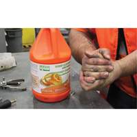Orange Hand Cleaner, Pumice, 3.6 L, Jug, Orange Rock Safety Industrial Ltd