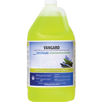 Nettoyant germicide d'usage g&eacute;n&eacute;ral Vangard, 5 L, Cruche Rock Safety Industrial Ltd