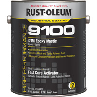 9100 System DTM Epoxy Mastic Fast Cure Activator, Gallon Rock Safety Industrial Ltd