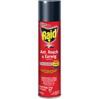 Raid&reg; Ant, Roach & Earwig Insect Killer, 350 g, Solvent Base Rock Safety Industrial Ltd