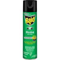 Raid&reg; Home Insect Killer, 350 g, Solvent Base Rock Safety Industrial Ltd