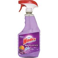 Nettoyant multi-surfaces de Windex, 765 ml, Bouteille &agrave; g&acirc;chette Rock Safety Industrial Ltd
