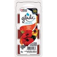 Cubes de cire parfum&eacute;e Glade, Brise exotique Rock Safety Industrial Ltd