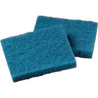 Non-Stick Cookware Cleaning Pad, Scrubbing, 5-1/4" W x 4" L Rock Safety Industrial Ltd