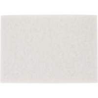 TopLine Speed Floor Pad, 14" x 20", Buffing/Cleaning/Polish, White Rock Safety Industrial Ltd