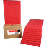 Carpet Bonnet Pad, 14" x 20", Buffing/Cleaning, Red Rock Safety Industrial Ltd