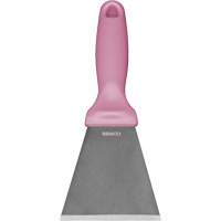 Grand racloir en acier inoxydable, Rose, 3" la x 9" lo Rock Safety Industrial Ltd