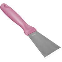Grand racloir en acier inoxydable, Rose, 3" la x 9" lo Rock Safety Industrial Ltd