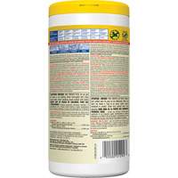 Disinfecting Wipes, 75 Count Rock Safety Industrial Ltd