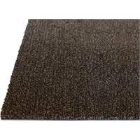 Palliser Indoor Matting, Wiper/Scraper, 6-1/2' x 82' x 5/16", Anglis Rock Safety Industrial Ltd