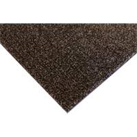 Palliser Indoor Matting, Wiper/Scraper, 6-1/2' x 82' x 5/16", Anglis Rock Safety Industrial Ltd