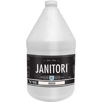 Janitori 01 Window Cleaner, 4 L, Jug Rock Safety Industrial Ltd