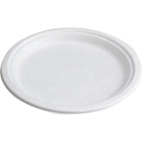 Compostable Plates Rock Safety Industrial Ltd