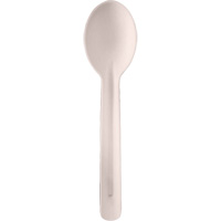 Bagasse Compostable Spoons Rock Safety Industrial Ltd