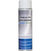 Stainless Steel Cleaner, 14 oz., Aerosol Can Rock Safety Industrial Ltd