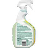 CloroxPro Clorox EcoClean Disinfecting Cleaner, 946 ml, Trigger Bottle Rock Safety Industrial Ltd
