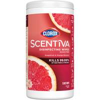 Disinfecting Wipes, 75 Count Rock Safety Industrial Ltd