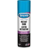Brillant instantan&eacute; Pro Line pour surfaces en plastique, 11 oz, Canette a&eacute;rosol Rock Safety Industrial Ltd