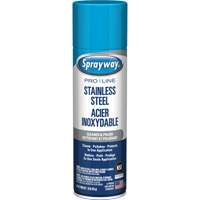 Nettoyant & polis pour acier inoxydable Pro Line, 15 oz, Canette a&eacute;rosol Rock Safety Industrial Ltd