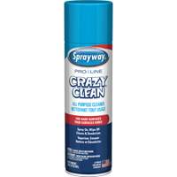 Nettoyant tout usage Pro Line Crazy Clean, 19 oz., Canette a&eacute;rosol Rock Safety Industrial Ltd