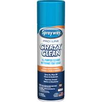 Nettoyant tout usage Pro Line Crazy Clean, 19 oz., Canette a&eacute;rosol Rock Safety Industrial Ltd