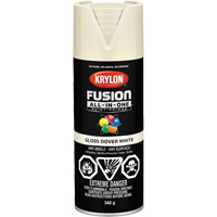 Fusion All-In-One Spray Paint, Dover White, Gloss, 12 oz., Aerosol Can Rock Safety Industrial Ltd