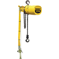 Budgit&reg; Series 6000 Air Hoists Rock Safety Industrial Ltd