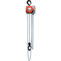 Hurricane 360° Chain Hoist, 10' Lift, 1000 lbs. (0.5 tons) Capacity, Steel Chain Rock Safety Industrial Ltd