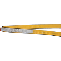 &eacute;lingues de levage en polyester, Pli Simple, Sans fin, Type 5, 1" la x 3' lo, Capacit&eacute; verticale 3200 lb Rock Safety Industrial Ltd