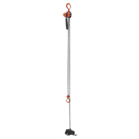 Mini palan &agrave; levier, Lev&eacute;e 15', Cabacit&eacute; 500 lb (0,25 tonne), Chaîne en Acier Rock Safety Industrial Ltd