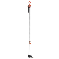 Mini palan &agrave; levier, Lev&eacute;e 15', Cabacit&eacute; 500 lb (0,25 tonne), Chaîne en Acier Rock Safety Industrial Ltd