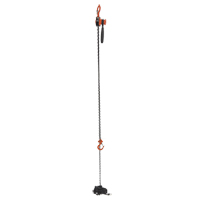 Mini palan &agrave; levier, Lev&eacute;e 15', Cabacit&eacute; 500 lb (0,25 tonne), Chaîne en Acier Rock Safety Industrial Ltd
