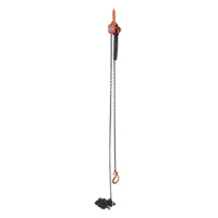 Mini palan &agrave; levier, Lev&eacute;e 15', Cabacit&eacute; 1000 lb (0,5 tonne), Chaîne en Acier Rock Safety Industrial Ltd